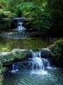 Cascades-de-Jardin : cascades jardin japonais