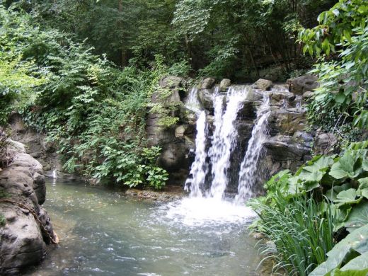 chute d'eau : Zoo de Cincinatti