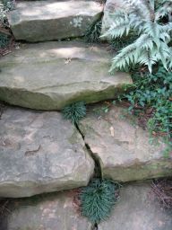 chemin dalles et pas japonais en pierre
