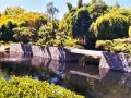 Jardin Botanique Los Angeles 2006 - bassin avec de nombreuses carpes koi