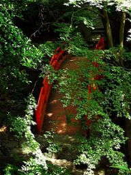 pont jardin japonais et erables