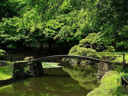 pont de pierre jardin japonais