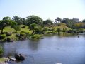 plantes et jardin autour d'un bassin aquatique au japon