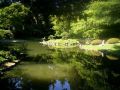 jardin japonais de nitobe : bassin aquatique du jardin