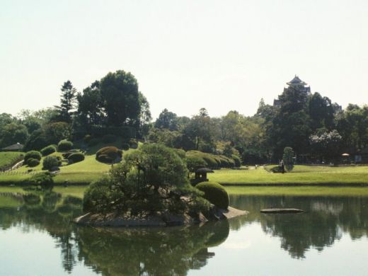 bassin jardin japonais