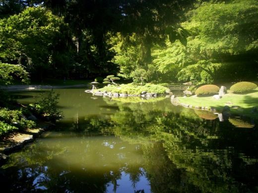 jardin japonais de nitobe : bassin aquatique du jardin vue 1